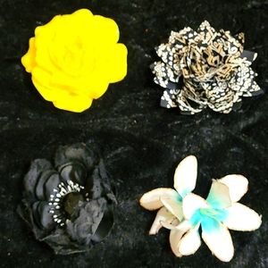 Bundle of 4 hair clips